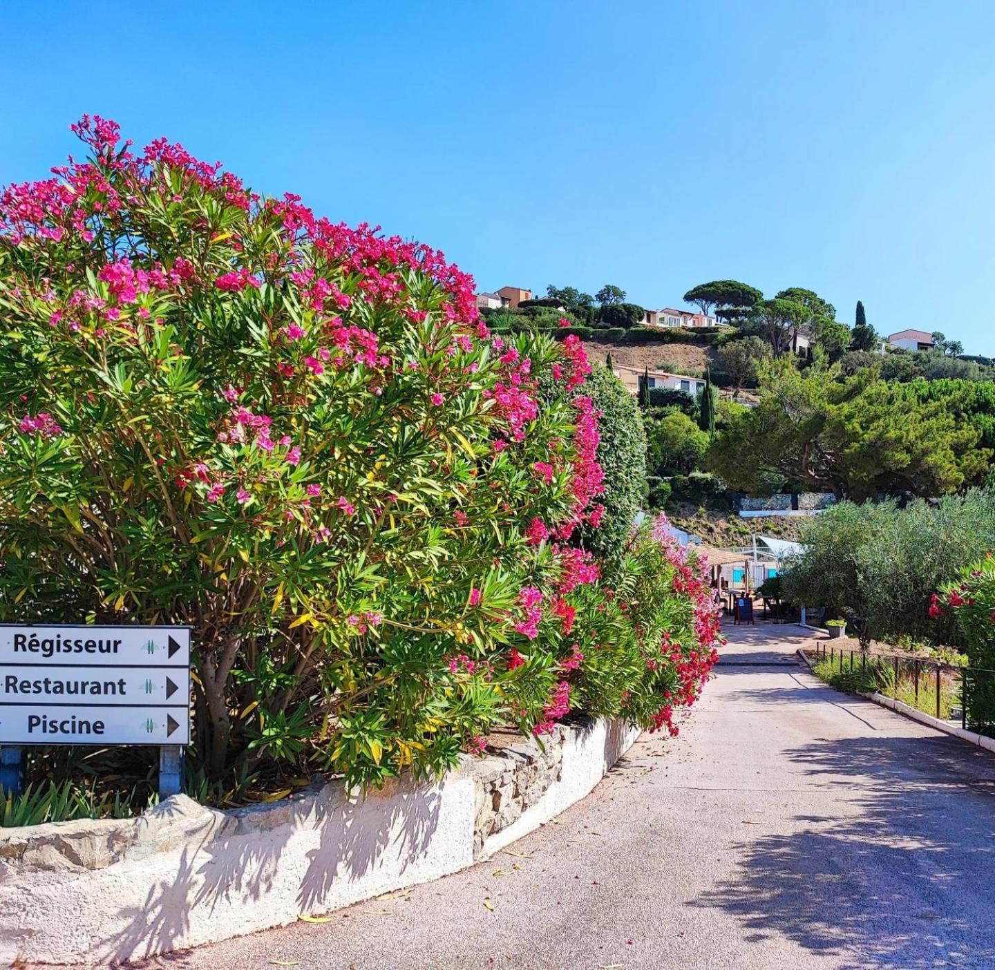 La Maison Collines De Guerrevieille Villa Sainte-Maxime Exterior photo